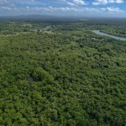 Aerial drone photography in Fiji - Vunivadra Waiwai